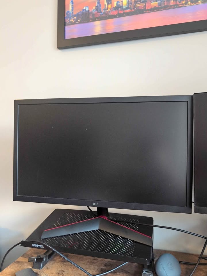 LG 21” Monitor - Used