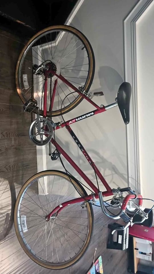 Murray Brentwood Bicycle - 1987