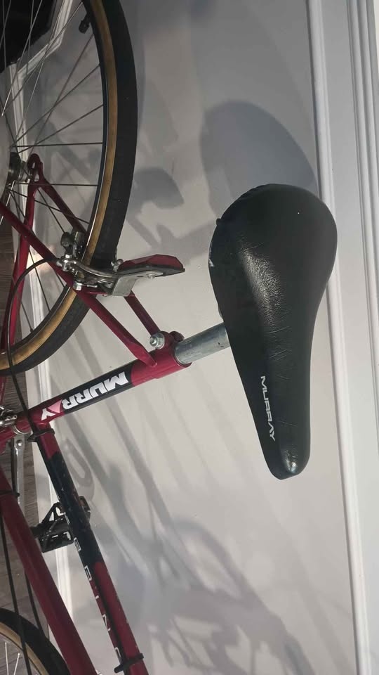 Murray Brentwood Bicycle - 1987 - photo 3