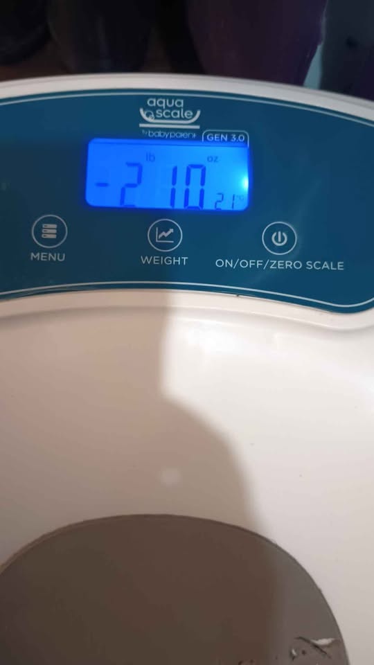 Baby AquaScale Digital Baby Bath Tub - photo 4