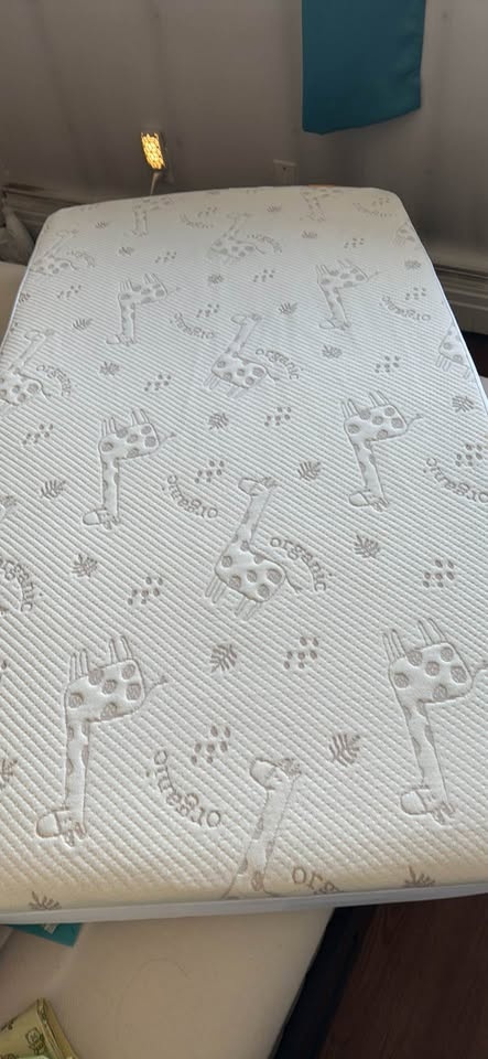 Mint Green Baby Crib w Organic Mattress + Bumpers (MOVING SALE) - photo 4