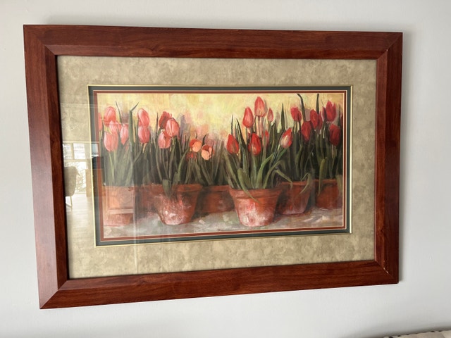 🥕Framed Tulips picture