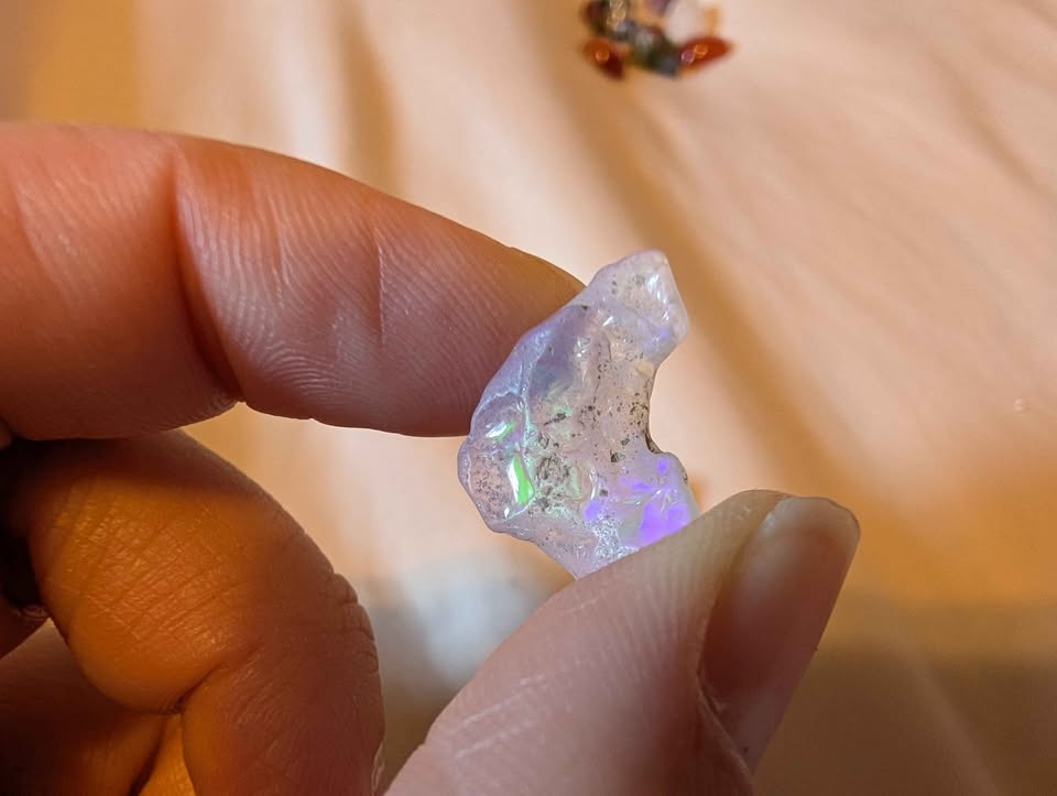 Opal - photo 2