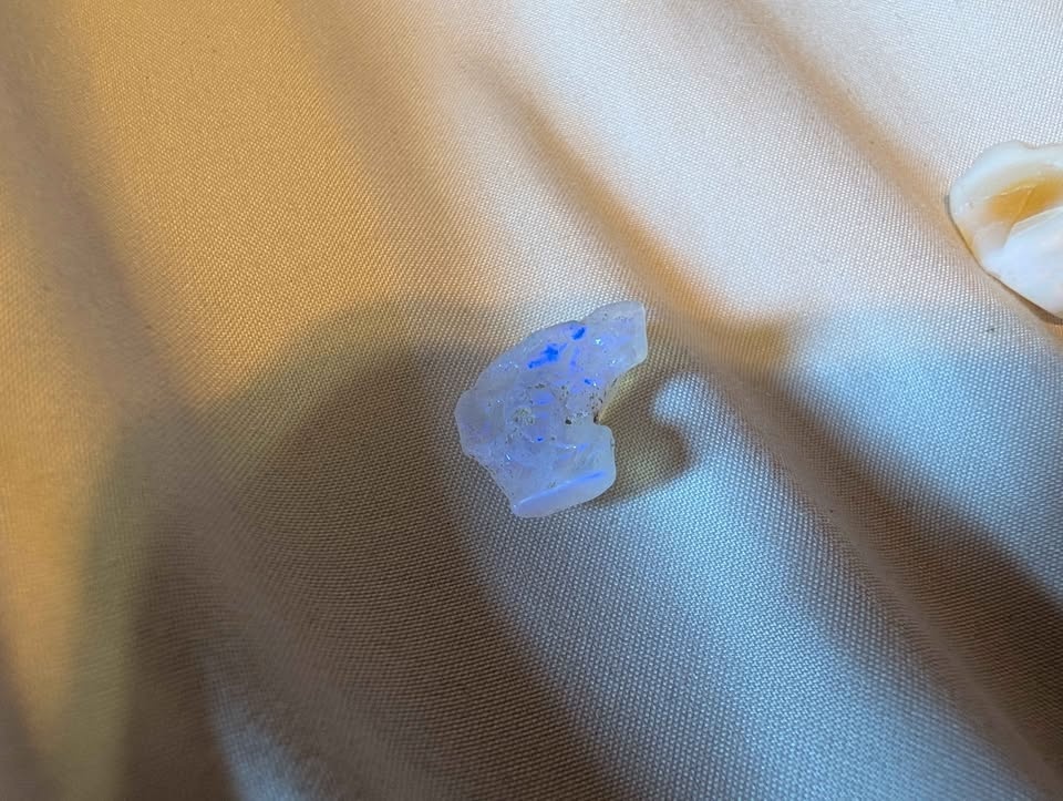 Opal - photo 3
