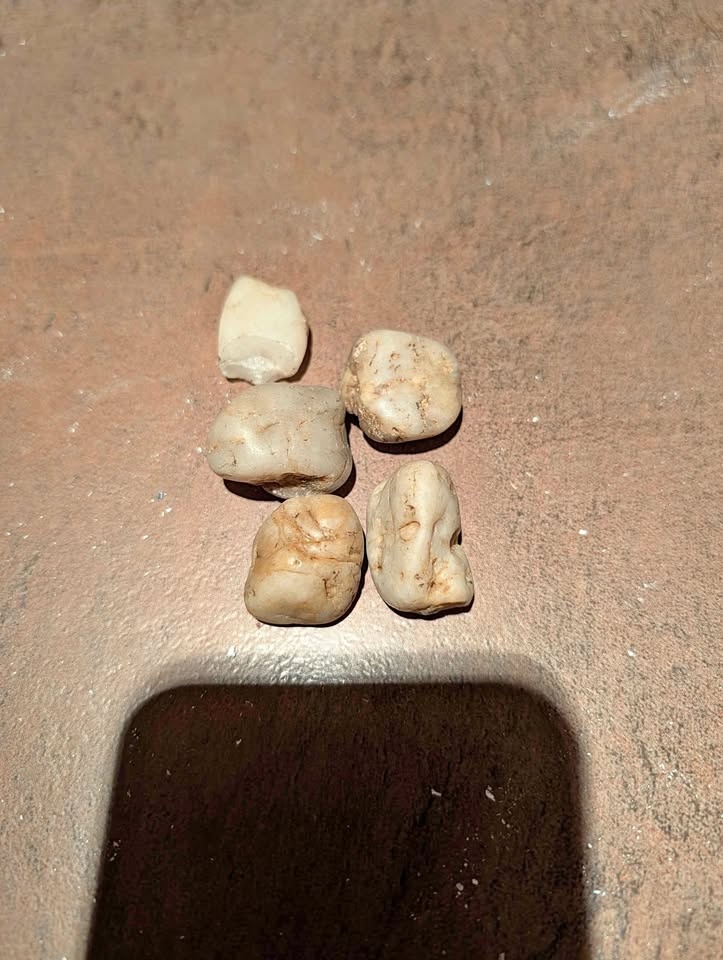 Vancouver Island milky quartz