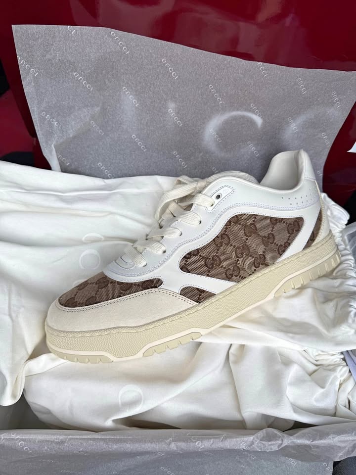 Gucci Canvas Sneakers - Brand new