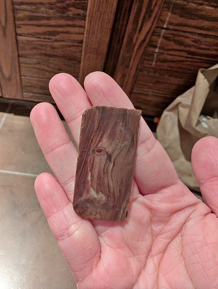 Petrified wood slab