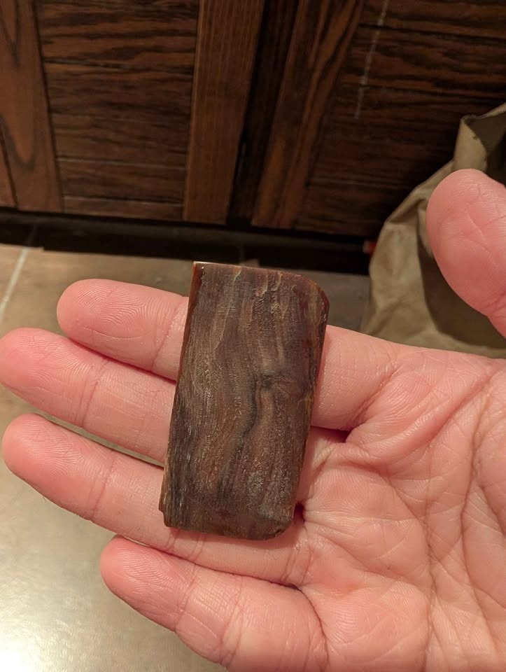 Petrified wood slab - photo 2
