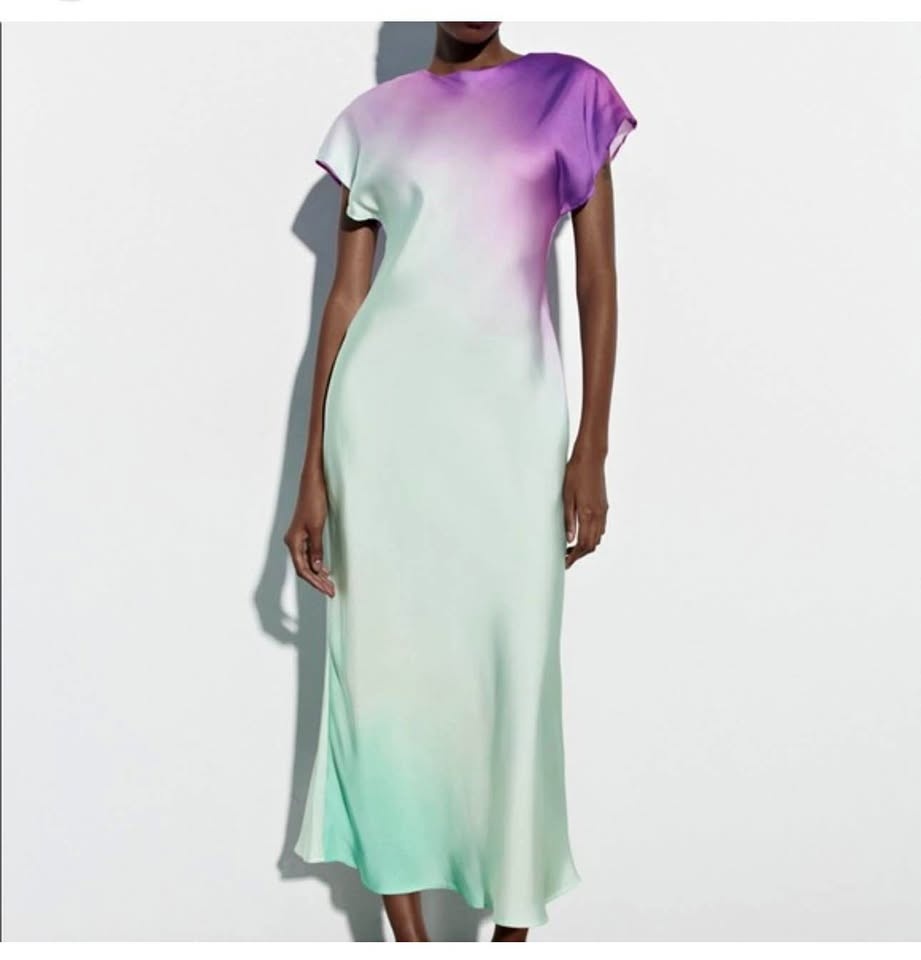 Ombré Satin Long Dress | Size Large