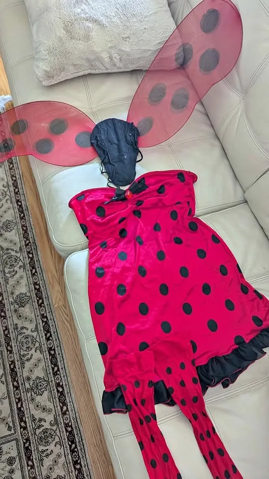 Vintage Lady Bug Halloween Costume (3 Piece) thumbnail