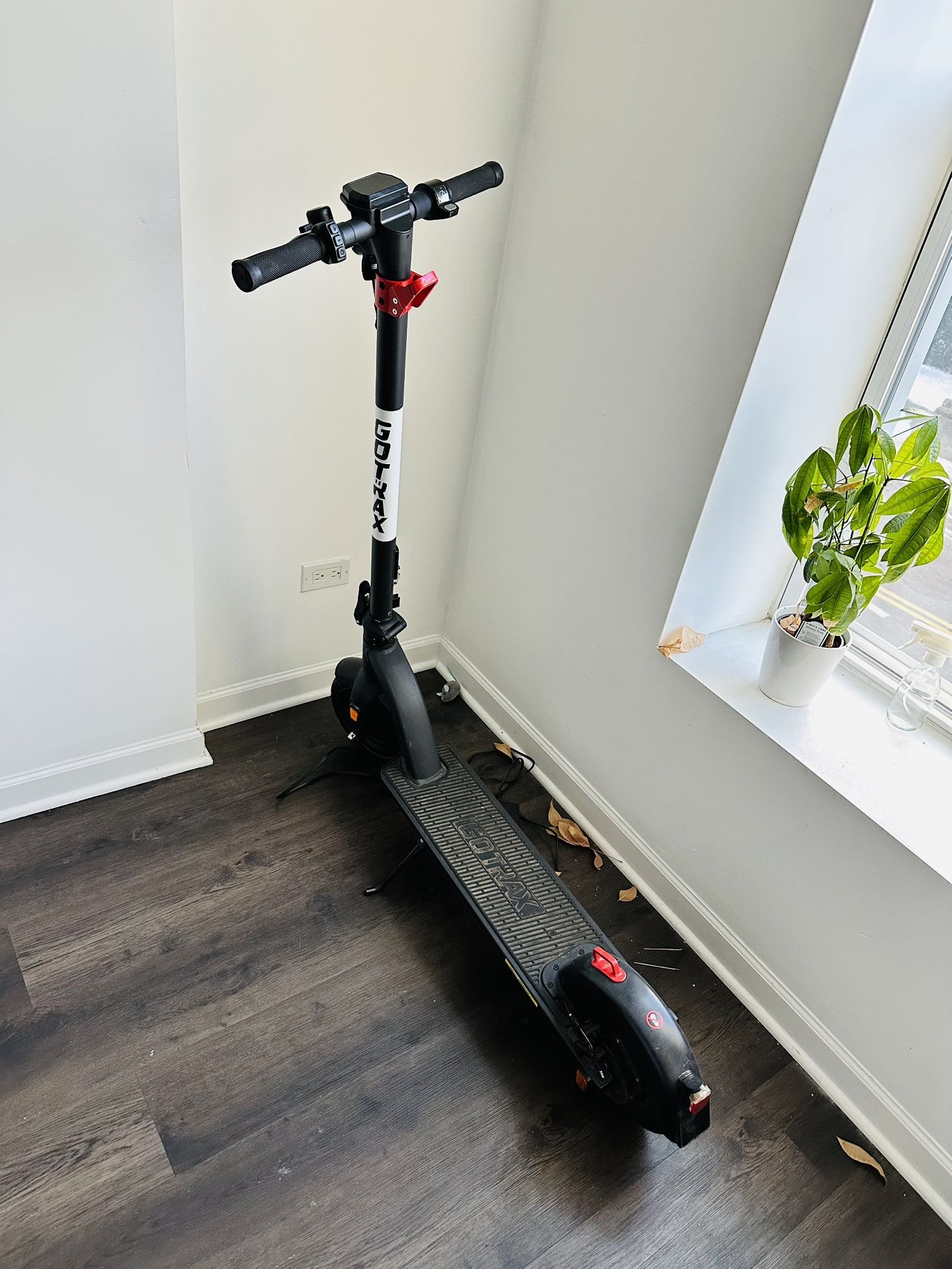 Gotrax Electric Scooter