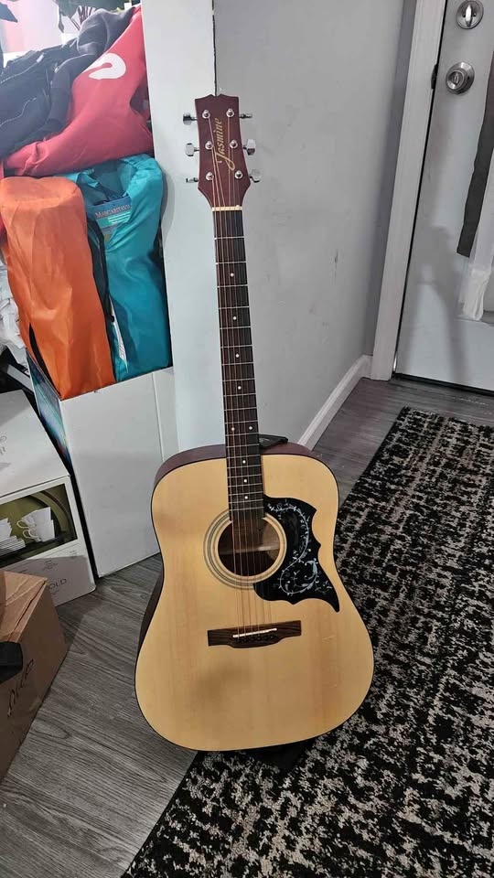 Fender Stratocaster Electric Guitar