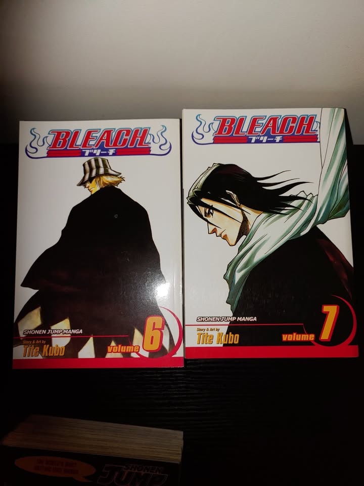 Bleach, D-GreyMan, Soul Eater Manga & More - photo 2