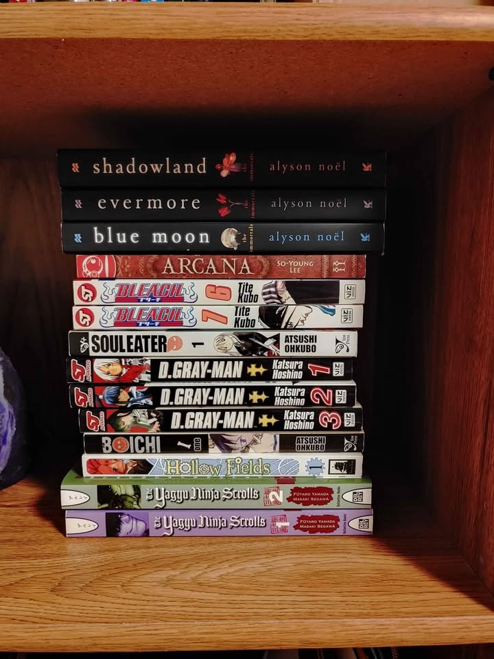 Bleach, D-GreyMan, Soul Eater Manga & More - photo 3