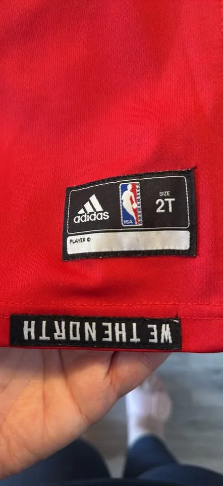 2T Raptors Jersey image indicator(2)