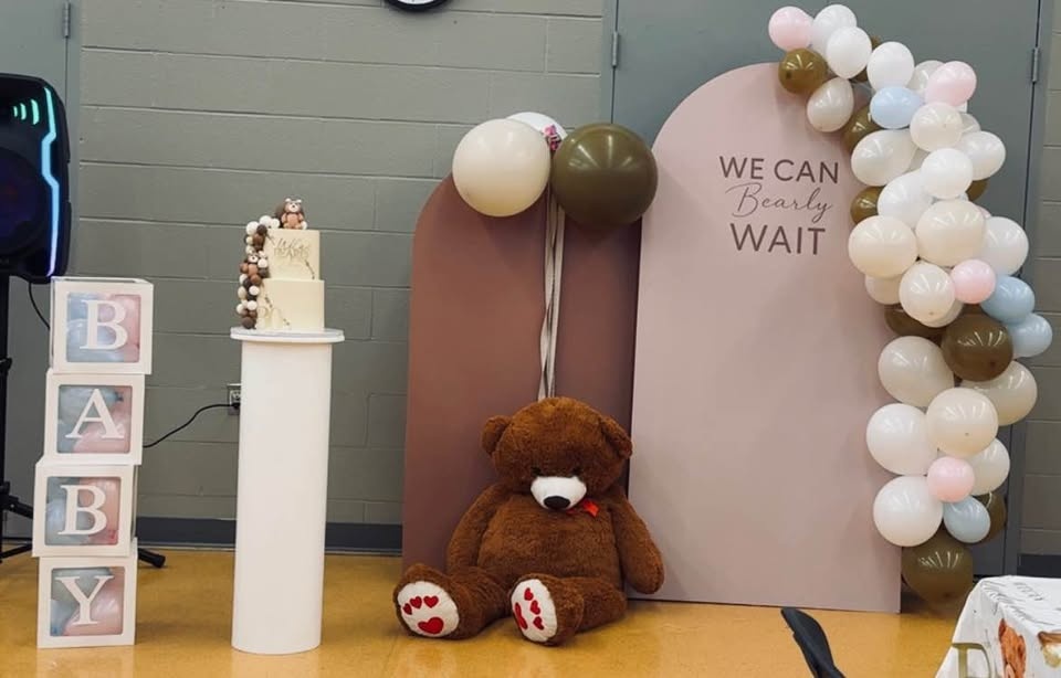 Backdrops (2 pieces) “We Can Bearly Wait” - photo 3