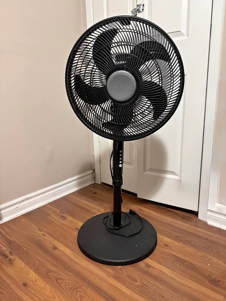 Standing Floor Fan with remote