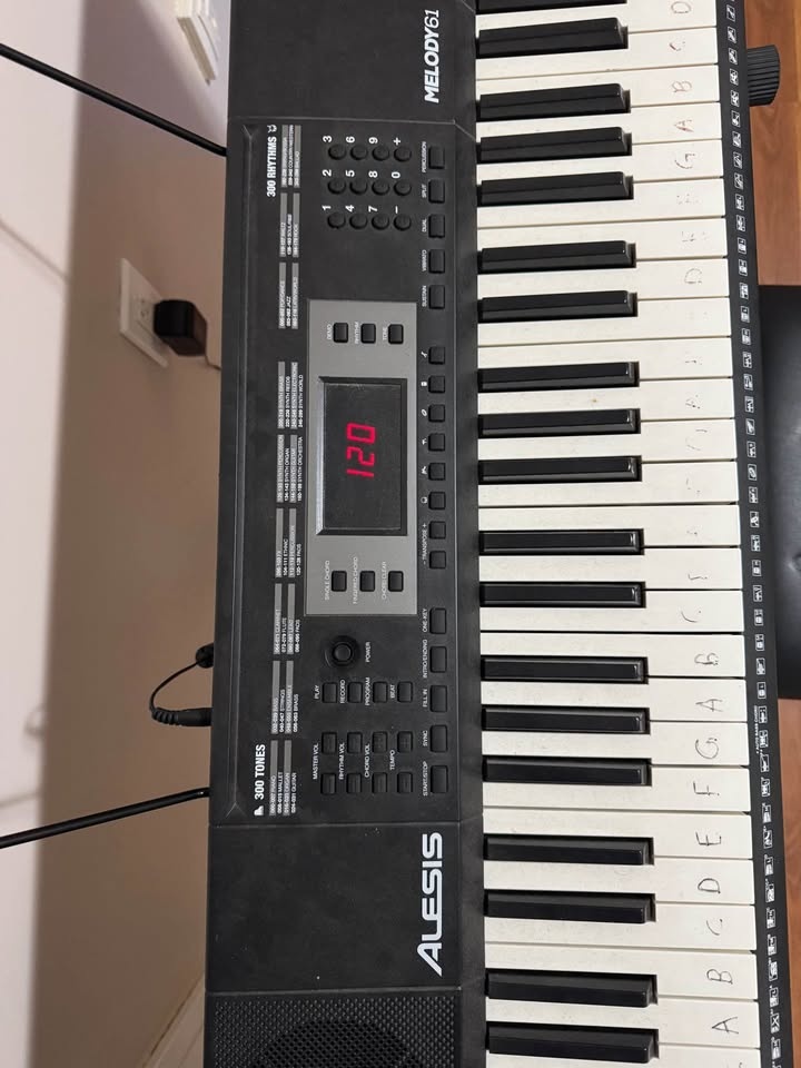 Alesis Melody 61 Keyboard with Adjustable Bench - photo 3