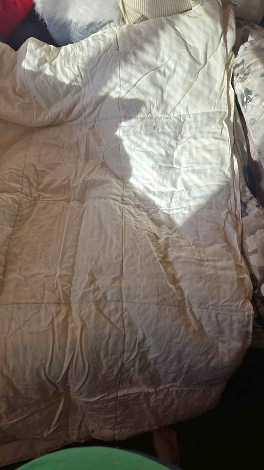 Plain white duvets.