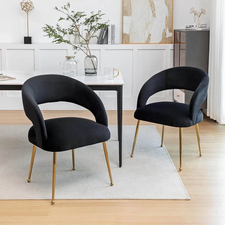 Dining Chairs, Modern Living Room (Set of 2)