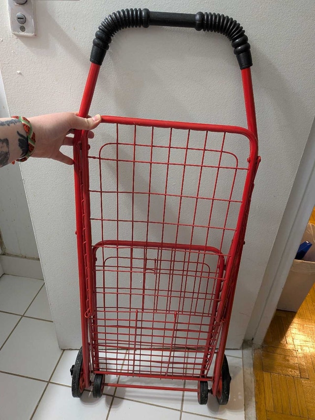 Red grocery cart (Don Mills and Eglinton) - photo 2