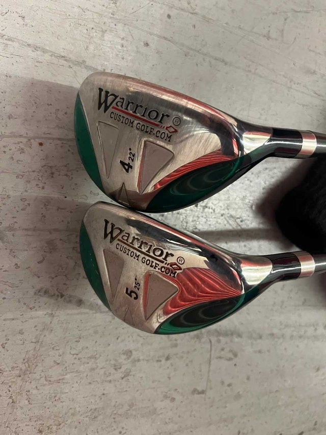 Warrior hybrids - 4 & 5 (Don Mills and Eglinton)
