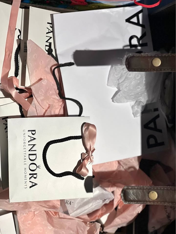 Pandora Gift Bags