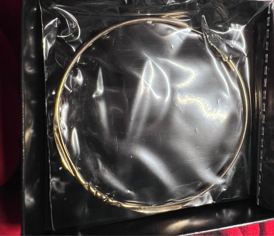 🌟NWOT! Gold Big Hoop Earrings - photo 2
