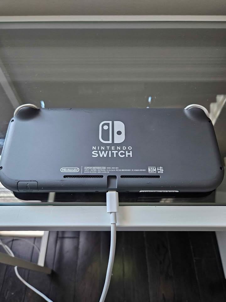 Nintendo Switch Lite - photo 2