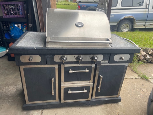 Professional BBQ