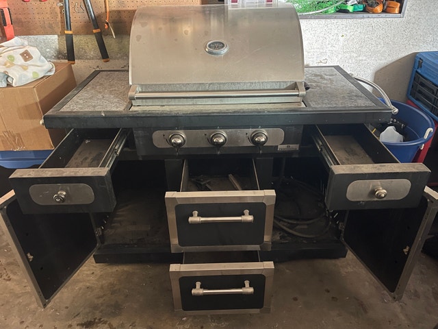 Professional BBQ - photo 2
