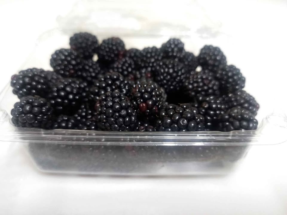 Blackberries