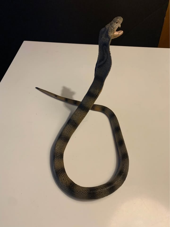 Vintage 1998 Safari Ltd Realistic Cobra Bendable Toy - photo 3