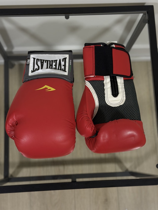Everlast Pro Style Boxing Gloves
