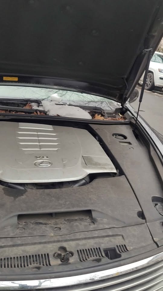2008 Lexus LS 460 RWD Sedan - photo 5