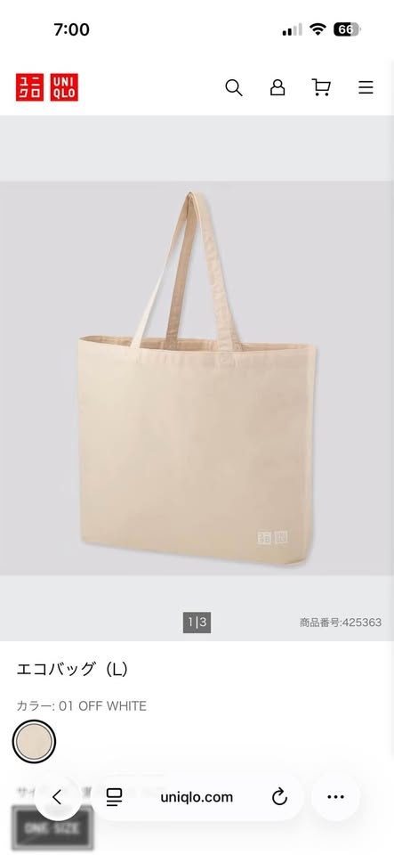 New Uniqlo Bag from Japan