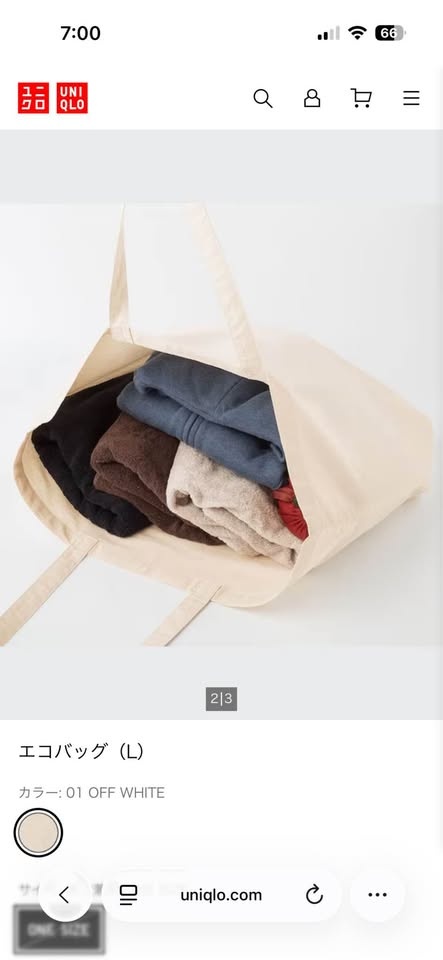 New Uniqlo Bag from Japan - photo 2