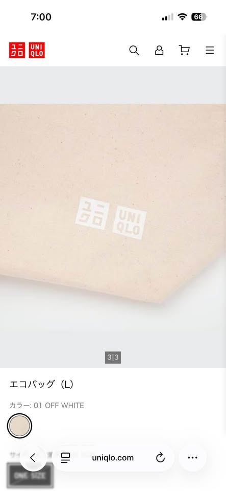 New Uniqlo Bag from Japan - photo 3