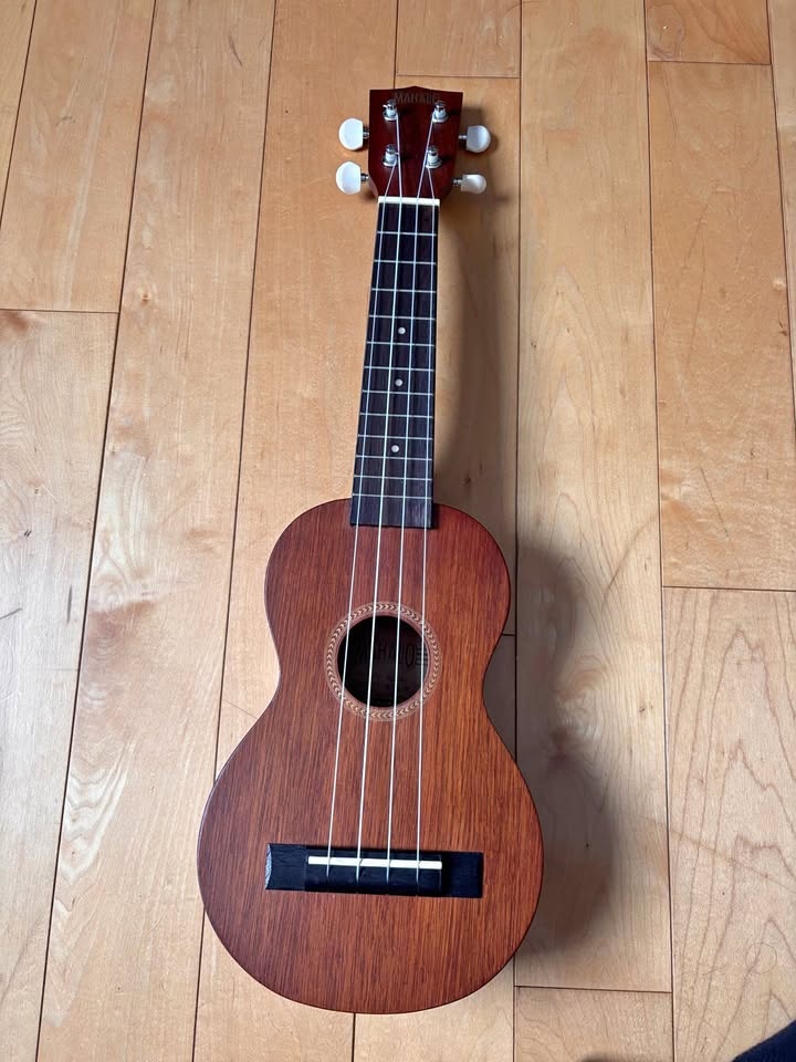 Ukulele with accessories