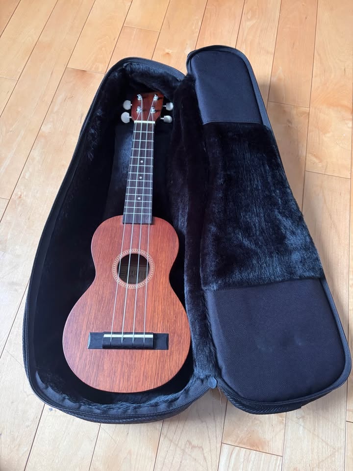 Ukulele with accessories - photo 2