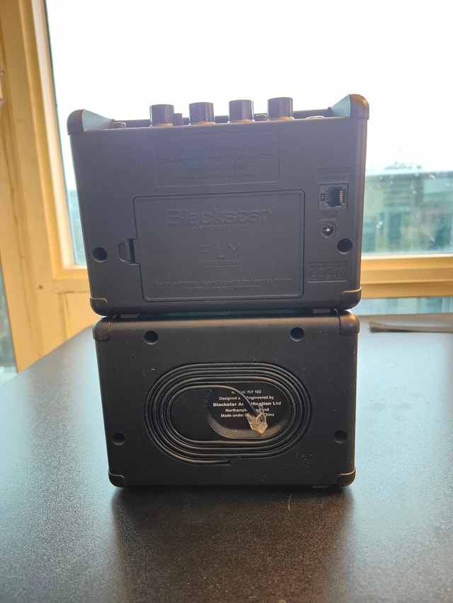 Blackstar FLY 3 Mini Amp - photo 4