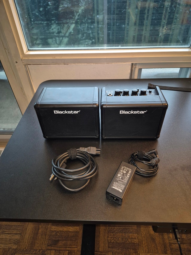 Blackstar FLY 3 Mini Amp - photo 5