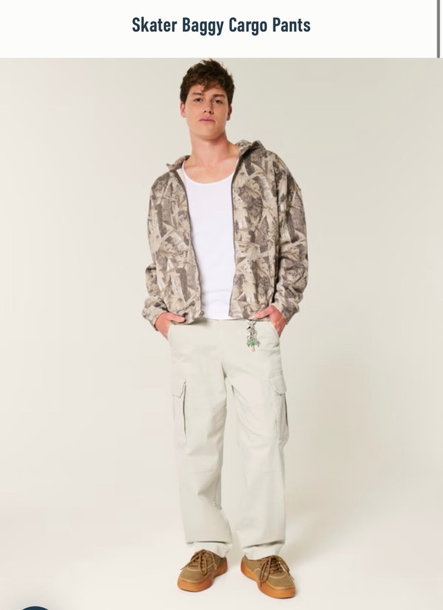 Skater Baggy Cargo Pants Hollister