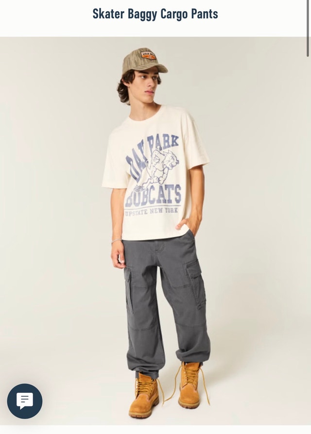 Skater Baggy Cargo Pants Hollister