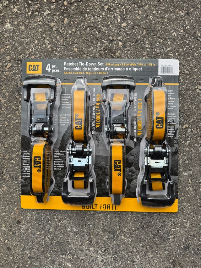 Cat Ratchet Tie Down Set