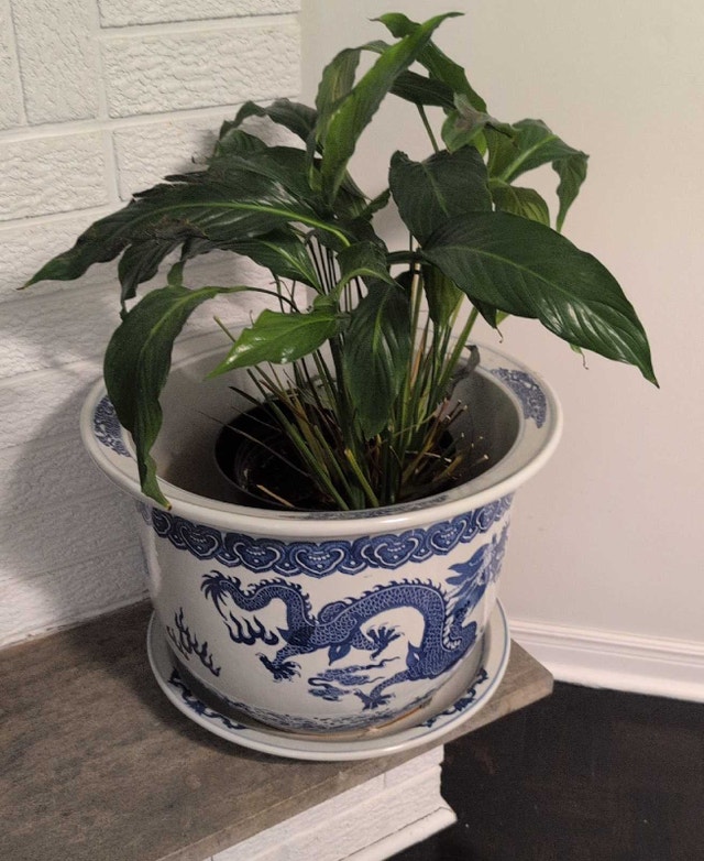 Chinese Dragon Vase Pot 19" Diameter