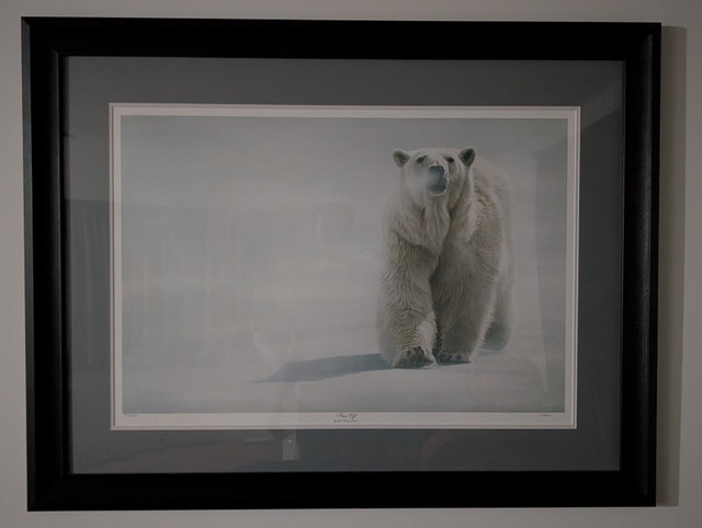 Polar Bear - "Face off" by Terry Isaac Print in Frame