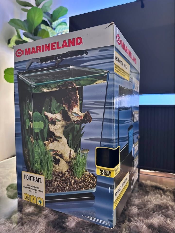 5 Gallon Glass Aquarium