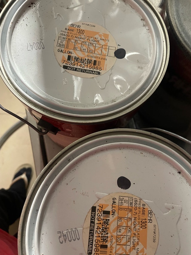 Behr Interior Flat Paint - photo 2