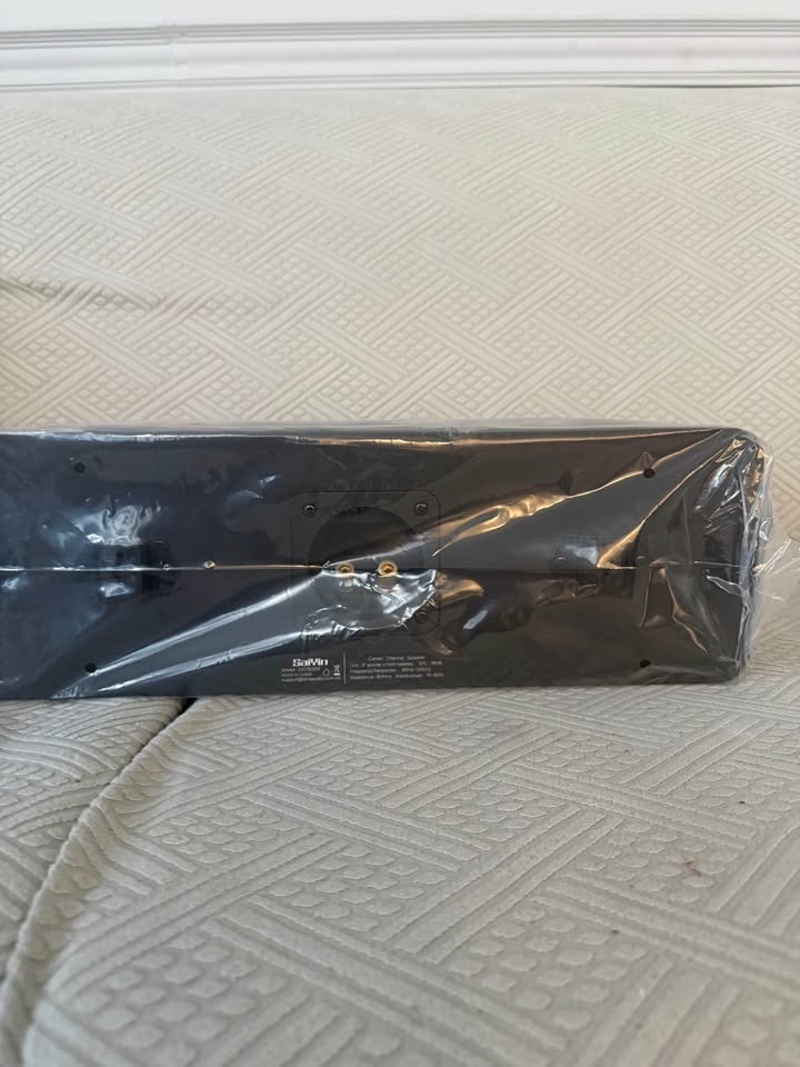Saiyin DS7800M Center Channel Speaker New In Box - photo 3